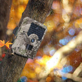 "Big Rack" 1080p HD Night Vision Trail Camera - Captures Video & Pictures