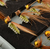 Dry Fly Lures Combo Pack - 40 Pack w/ Box - Thirsty Buyer - 3