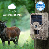 "Big Rack" 1080p HD Night Vision Trail Camera - Captures Video & Pictures