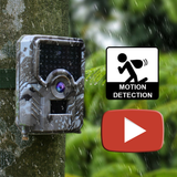 "Big Rack" 1080p HD Night Vision Trail Camera - Captures Video & Pictures