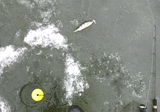 Ice Fishing "Pocket Portable" LCD Mobile Sonar Fish Finder/Locator with LED Backlight - Thirsty Buyer - 8