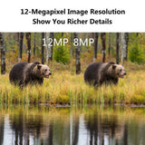 "Big Rack" 1080p HD Night Vision Trail Camera - Captures Video & Pictures