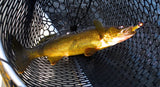 Fishing LCD "Mobile" SMART DEVICE - NEW - Thirsty Buyer - 7