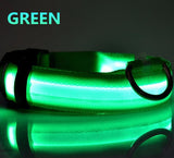 The LED NIGHT SAFE WALKER - Bright LED Light Dog Collar - Thirsty Buyer - 3