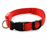 The LED NIGHT SAFE WALKER - Bright LED Light Dog Collar - Thirsty Buyer - 5