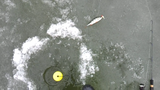 The "ULTIMATE" Ice Fishing Package: Ice Fishing LCD Fish Finder + 26 Ice Fishing Super Jigs