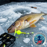 The OCTOPUS BUFFET JUNIOR "No Jigging Required" ICE Fishing Lures - 10 Lures Per Pack!