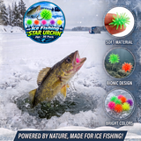 Ice Fishing "Star Urchin" Jigs (1/8 oz) - 30 Pack - NEW!