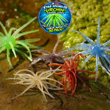 STAR SPANGLED "Urchin" Fishing Lures - SUPER VALUE 30 Pack in Assorted Colors!
