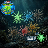 STAR SPANGLED "Urchin" Fishing Lures - SUPER VALUE 30 Pack in Assorted Colors!