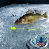 The OCTOPUS BUFFET JUNIOR "No Jigging Required" ICE Fishing Lures - 10 Lures Per Pack!