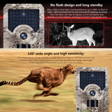 "Big Rack" 1080p HD Night Vision Trail Camera - Captures Video & Pictures