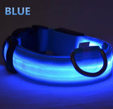 The LED NIGHT SAFE WALKER - Bright LED Light Dog Collar - Thirsty Buyer - 2
