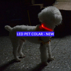 The LED NIGHT SAFE WALKER - Bright LED Light Dog Collar - Thirsty Buyer - 1