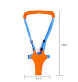Baby/Toddler Learn-to-Walk Harness Bouncer - Awesome Walking Tool -  - 3
