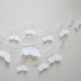 3D Plastic Wall Butterflies Peel & Stick - 12 pieces (Assorted Colors) - Thirsty Buyer - 12
